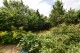 Copthall Gardens, Twickenham