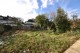 Strawberry Vale, Twickenham
